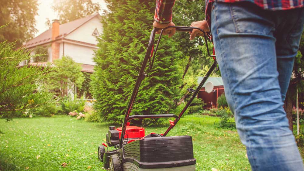 Lawn Care Is Essential Grasses Glorify God The Institute for